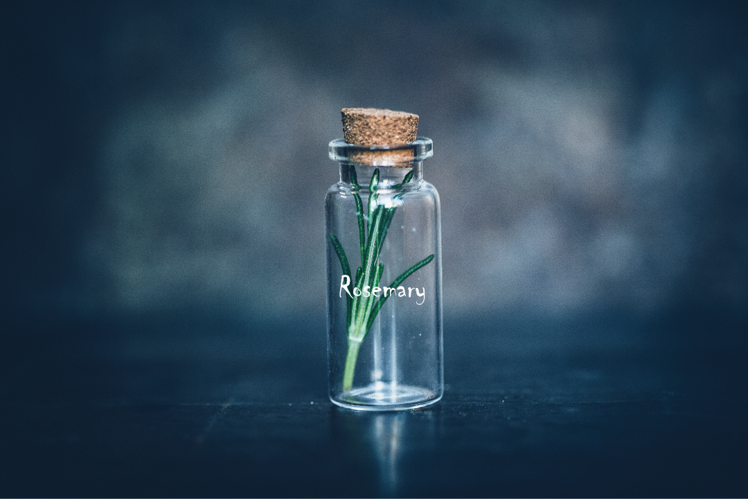 Rosemary Water For Hair Growth